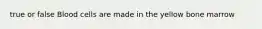 true or false Blood cells are made in the yellow bone marrow