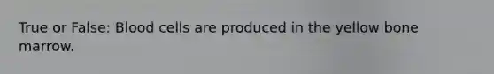 True or False: Blood cells are produced in the yellow bone marrow.