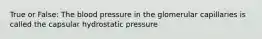 True or False: The blood pressure in the glomerular capillaries is called the capsular hydrostatic pressure