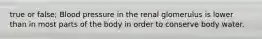 true or false; Blood pressure in the renal glomerulus is lower than in most parts of the body in order to conserve body water.