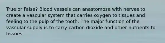 True or False? Blood vessels can anastomose with nerves to create a vascular system that carries oxygen to tissues and feeling to the pulp of the tooth. The major function of the vascular supply is to carry carbon dioxide and other nutrients to tissues.