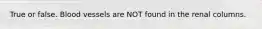 True or false. Blood vessels are NOT found in the renal columns.