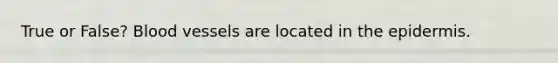 True or False? Blood vessels are located in the epidermis.