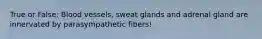 True or False: Blood vessels, sweat glands and adrenal gland are innervated by parasympathetic fibers!