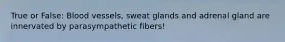 True or False: <a href='https://www.questionai.com/knowledge/kZJ3mNKN7P-blood-vessels' class='anchor-knowledge'>blood vessels</a>, sweat glands and adrenal gland are innervated by parasympathetic fibers!