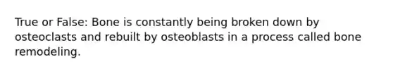 True or False: Bone is constantly being broken down by osteoclasts and rebuilt by osteoblasts in a process called bone remodeling.