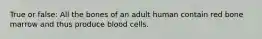 True or false: All the bones of an adult human contain red bone marrow and thus produce blood cells.