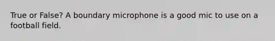 True or False? A boundary microphone is a good mic to use on a football field.