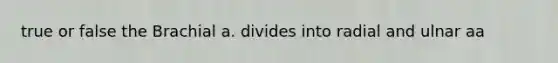 true or false the Brachial a. divides into radial and ulnar aa