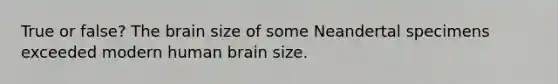 True or false? The brain size of some Neandertal specimens exceeded modern human brain size.