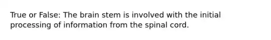True or False: The brain stem is involved with the initial processing of information from the spinal cord.