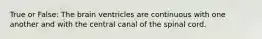 True or False: The brain ventricles are continuous with one another and with the central canal of the spinal cord.