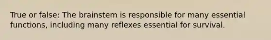 True or false: The brainstem is responsible for many essential functions, including many reflexes essential for survival.