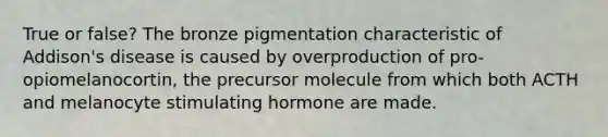 True or false? The bronze pigmentation characteristic of Addison's disease is caused by overproduction of pro-opiomelanocortin, the precursor molecule from which both ACTH and melanocyte stimulating hormone are made.