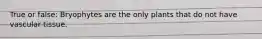 True or false: Bryophytes are the only plants that do not have vascular tissue.