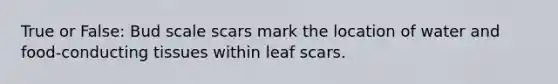 True or False: Bud scale scars mark the location of water and food-conducting tissues within leaf scars.