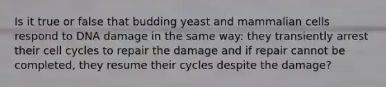 Is it true or false that budding yeast and mammalian cells respond to DNA damage in the same way: they transiently arrest their cell cycles to repair the damage and if repair cannot be completed, they resume their cycles despite the damage?