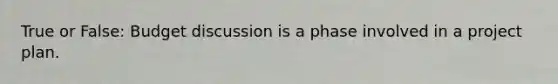 True or False: Budget discussion is a phase involved in a project plan.