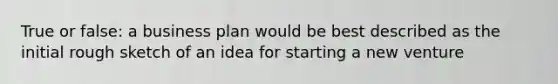 True or false: a business plan would be best described as the initial rough sketch of an idea for starting a new venture