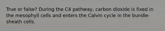 True or false? During the C4 pathway, carbon dioxide is fixed in the mesophyll cells and enters the Calvin cycle in the bundle-sheath cells.