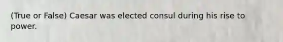 (True or False) Caesar was elected consul during his rise to power.