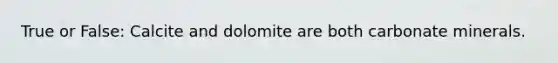 True or False: Calcite and dolomite are both carbonate minerals.