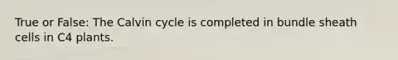 True or False: The Calvin cycle is completed in bundle sheath cells in C4 plants.