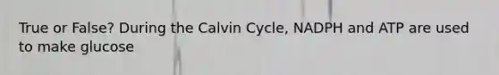 True or False? During the Calvin Cycle, NADPH and ATP are used to make glucose