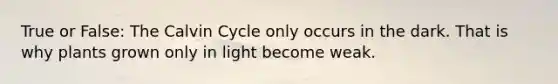 True or False: The Calvin Cycle only occurs in the dark. That is why plants grown only in light become weak.