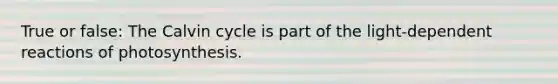 True or false: The Calvin cycle is part of the light-dependent reactions of photosynthesis.