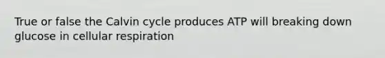 True or false the Calvin cycle produces ATP will breaking down glucose in cellular respiration