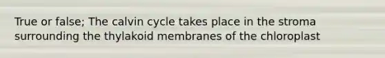 True or false; The calvin cycle takes place in the stroma surrounding the thylakoid membranes of the chloroplast