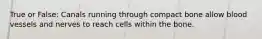 True or False: Canals running through compact bone allow blood vessels and nerves to reach cells within the bone.