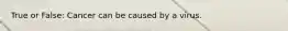 True or False: Cancer can be caused by a virus.