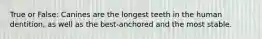 True or False: Canines are the longest teeth in the human dentition, as well as the best-anchored and the most stable.