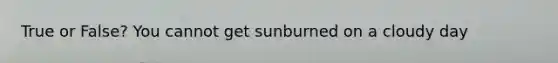 True or False? You cannot get sunburned on a cloudy day