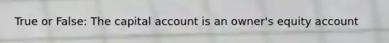 True or False: The capital account is an owner's equity account