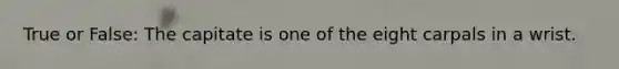 True or False: The capitate is one of the eight carpals in a wrist.