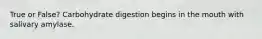 True or False? Carbohydrate digestion begins in the mouth with salivary amylase.