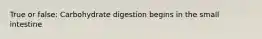 True or false: Carbohydrate digestion begins in the small intestine