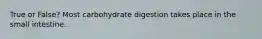 True or False? Most carbohydrate digestion takes place in the small intestine.