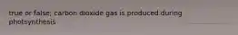 true or false; carbon dioxide gas is produced during photsynthesis