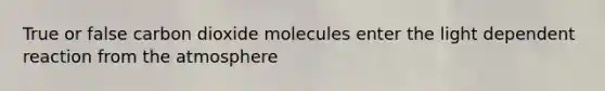 True or false carbon dioxide molecules enter the light dependent reaction from the atmosphere