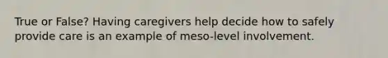 True or False? Having caregivers help decide how to safely provide care is an example of meso-level involvement.