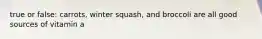 true or false: carrots, winter squash, and broccoli are all good sources of vitamin a