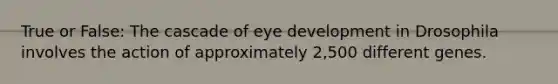 True or False: The cascade of eye development in Drosophila involves the action of approximately 2,500 different genes.