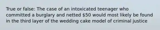 True or false: The case of an intoxicated teenager who committed a burglary and netted 50 would most likely be found in the third layer of the wedding cake model of criminal justice