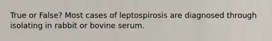 True or False? Most cases of leptospirosis are diagnosed through isolating in rabbit or bovine serum.