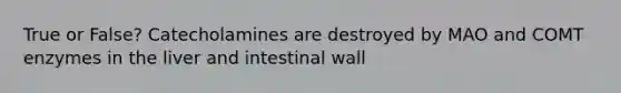 True or False? Catecholamines are destroyed by MAO and COMT enzymes in the liver and intestinal wall