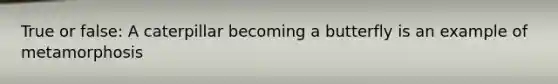 True or false: A caterpillar becoming a butterfly is an example of metamorphosis